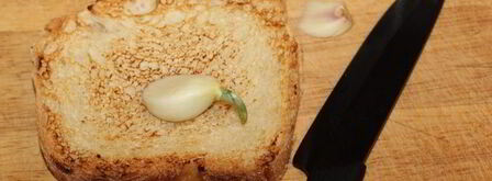 брускетта с крабом и авокадо. Шаг 3