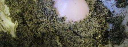 брускетта с кремом из маслин и помидорами. Шаг 5