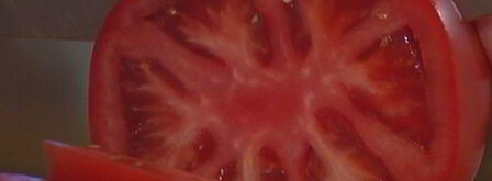 бургеры с котлетками из тунца и авокадо. Шаг 10