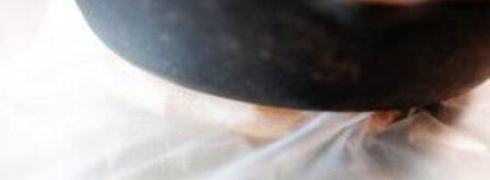 горячие бутерброды с курицей и абрикосовым соусом. Шаг 3