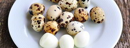 фаршированные перепелиные яйца. Шаг 5