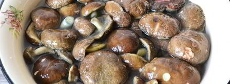 икра из моховиков. Шаг 4