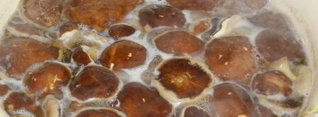 икра из моховиков. Шаг 6