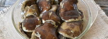 икра из моховиков. Шаг 7