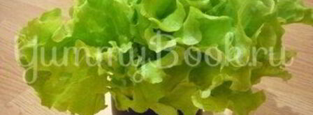 изящные канапе с грушей, ветчиной и сыром. Шаг 8