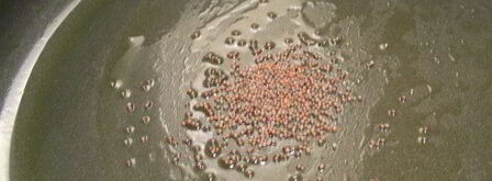 карри из баклажанов и картофеля. Шаг 5