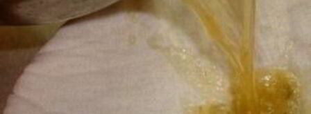 холодец балет. Шаг 5