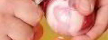 холодец гояжьей рульки и копыта. Шаг 5