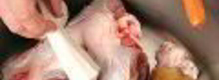 холодец гояжьей рульки и копыта. Шаг 6