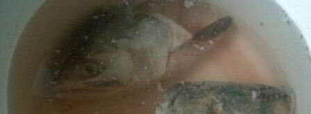 холодец из головы сома. Шаг 3