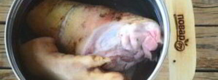 холодец из рульки свиной. Шаг 3