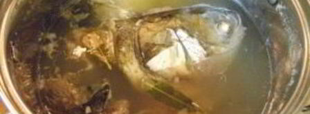 холодец из рыбы. Шаг 8