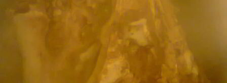 холодец из свинины. Шаг 3