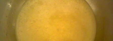 холодец из свинины. Шаг 8