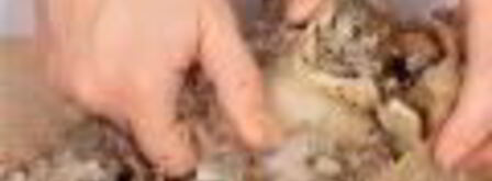 холодец с кровавой мэри. Шаг 3