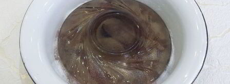 маринованный толстолобик. Шаг 8