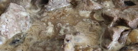 паштет из свиной печени с черносливом. Шаг 8