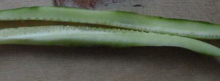 роллы гефу. Шаг 3