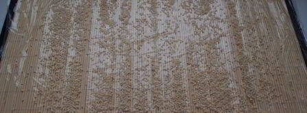 роллы из творога с фруктами. Шаг 3