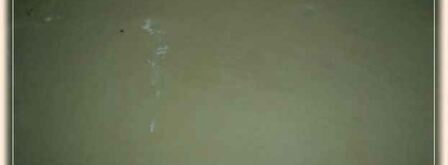 рулет ореховый. Шаг 28