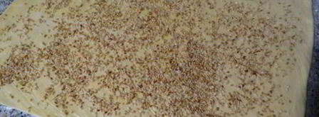 сырный рулет с сухофруктами и орехами. Шаг 8