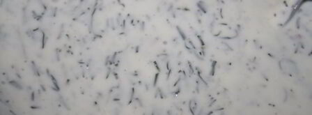 бородинские сухарики со сметанно-кефирным соусом с чесноком. Шаг 3