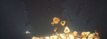 чесночно-лимонные сухарики для салатов. Шаг 3