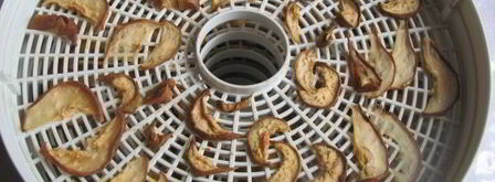 сушеные груши. Шаг 9