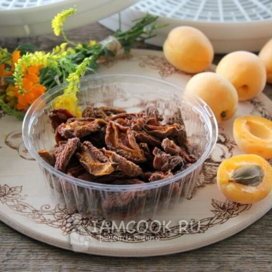 Рецепт сушки абрикосов в электросушилке