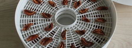 сушка абрикосов в электросушилке. Шаг 13