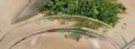 датский открытый сэндвич. Шаг 3