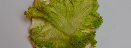 клаб-сэндвич. Шаг 8