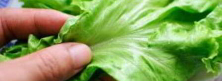 сэндвич с колбасой. Шаг 5