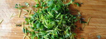 мини-тарты со сладким перцем. Шаг 4