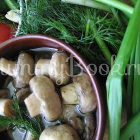 Рецепт закуски из грибов