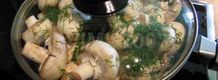 закуска из грибов. Шаг 18