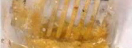 заливное из грудки индейки. Шаг 6