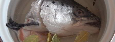 заливное из красной рыбы. Шаг 4