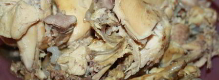 заливное из куриных бедрышек. Шаг 4