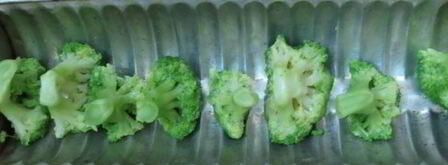 заливное из курицы с брокколи. Шаг 15