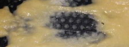 жульен с грибами в мультиварке. Шаг 3