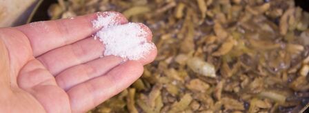 жульен в горшочке с курицей и грибами. Шаг 10